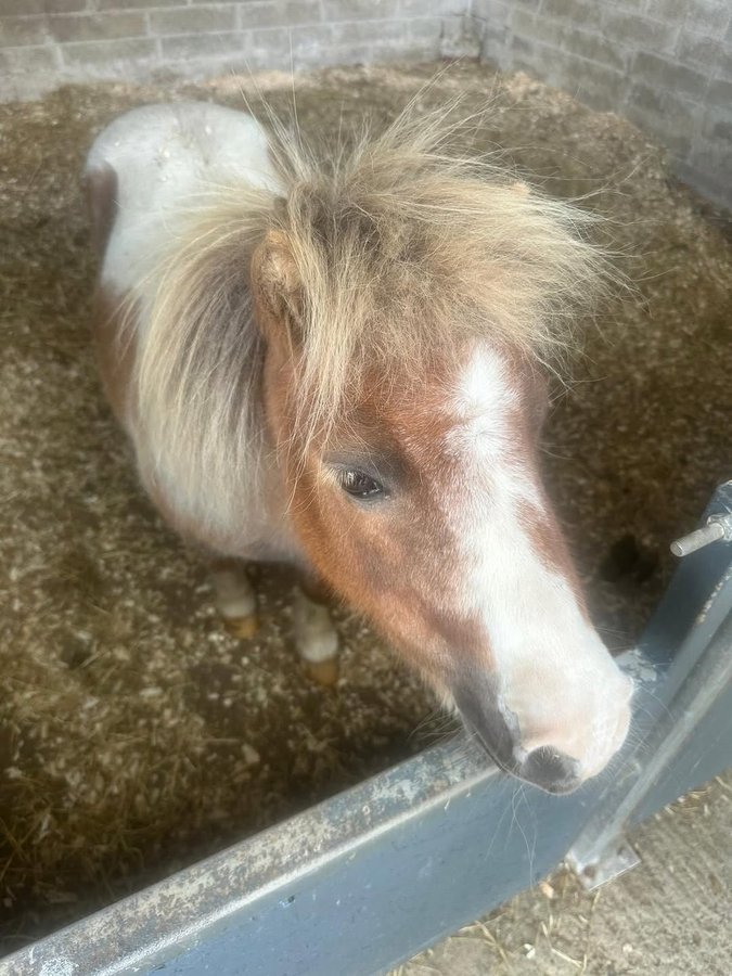 Instagram post by @claudiawinkle for National Lottery Good Causes. Caption reads: It’s been an honour working with @tnluk finding....