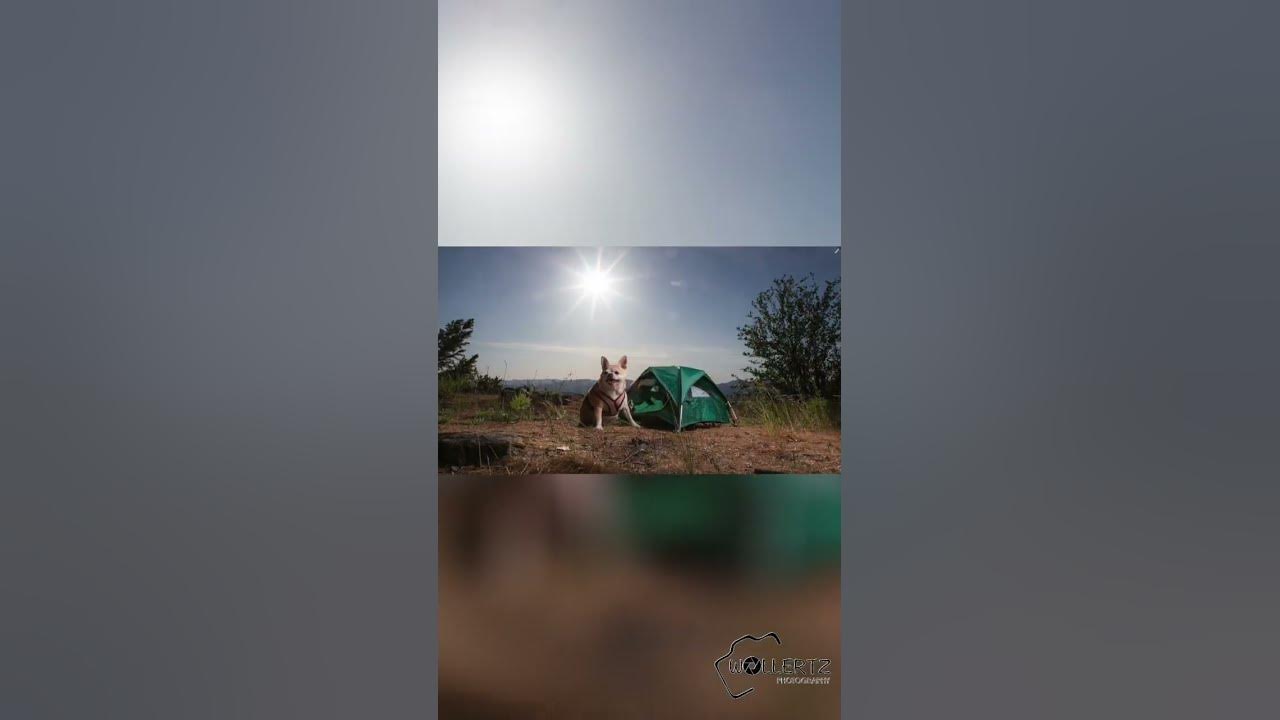 YouTube post by @wollertz for NEEWER. Caption reads: [...] conditions. How did the Neewer Q6 do?....