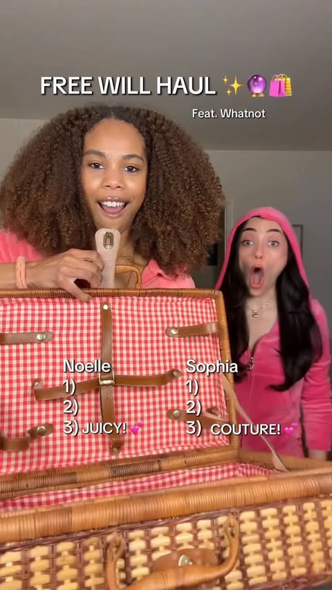 Instagram post by @soellegirls for Whatnot. Caption reads: #whatnotpartner never even HEARD of a sun catcher....