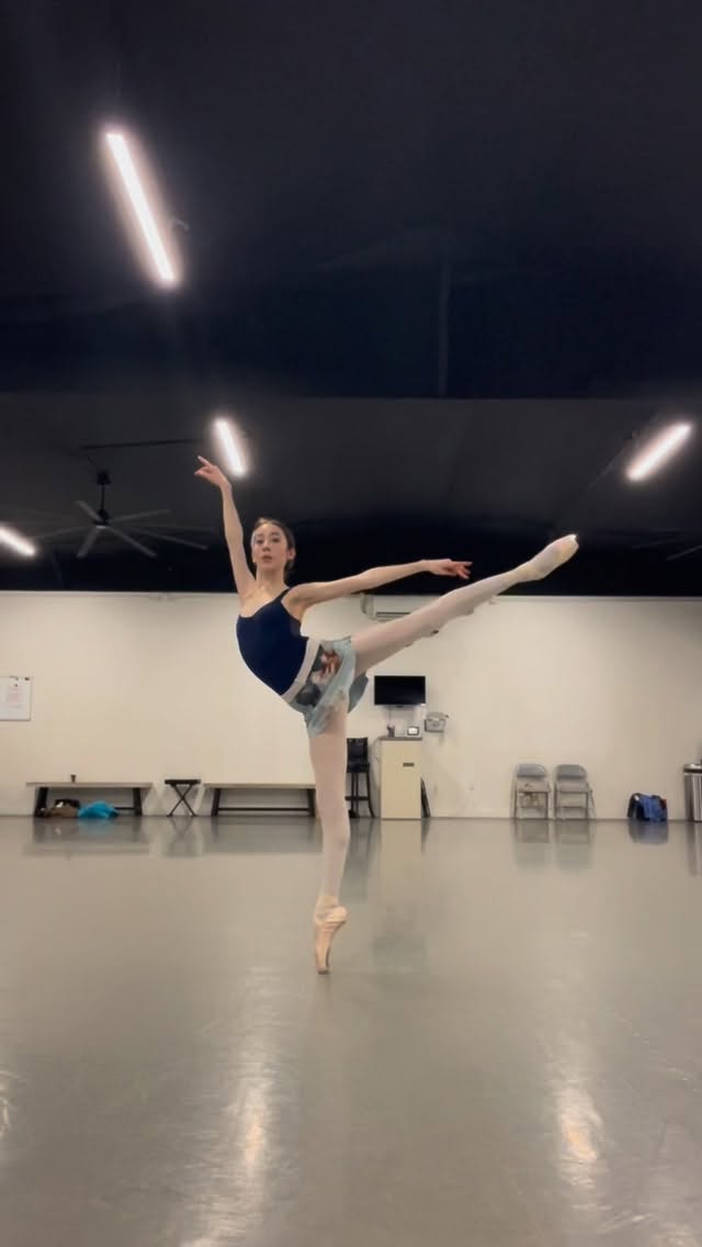 Instagram post by @ballerina_posed for Só Dança. Caption reads: back home for the holidays❤️

@metronome_dancewear....