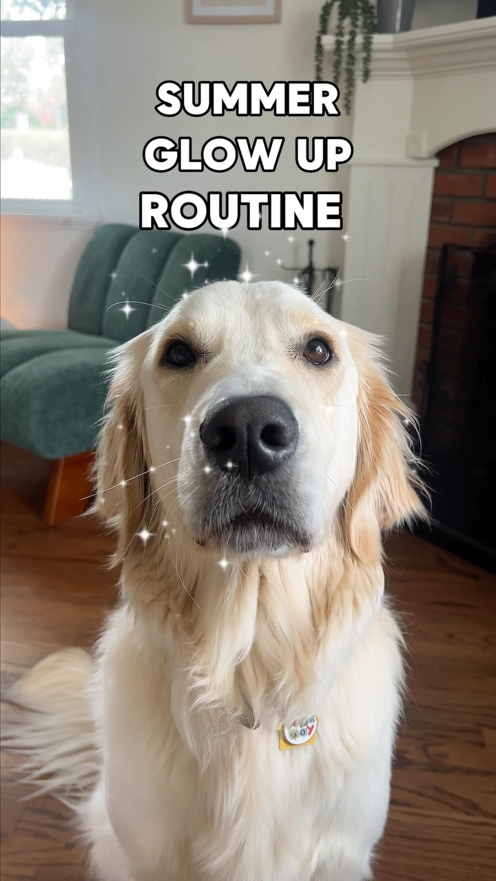 Instagram post by @lenwichthegolden for Brutus Broth. Caption reads: [...] milk, and the occasional mud facial. Brutus....