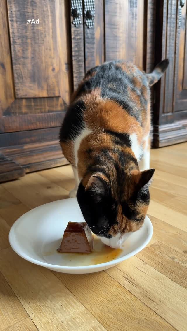 Instagram post by @aylaelizabeth for Fancy Feast. Caption reads: #ad I have partnered with @Target and....