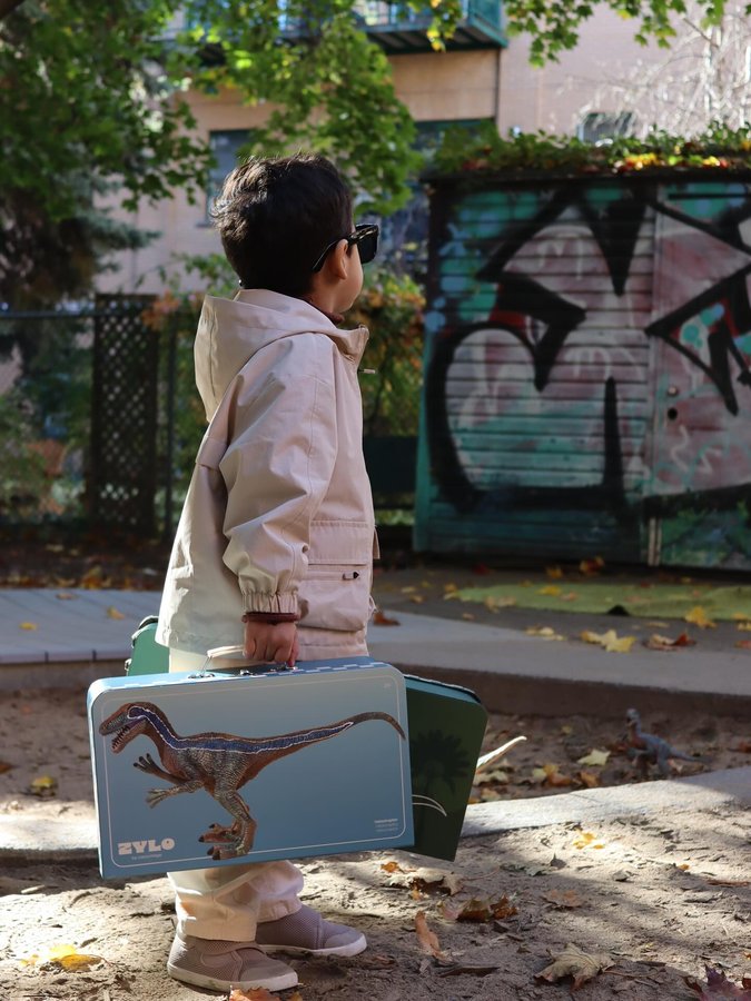 Instagram post by @daniariasor for Coco Village. Caption reads: Calling all dino-loving mamas! 🦖

Thiago’s been....