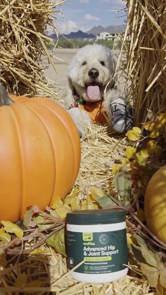 Instagram post by @my.pawfect.life for Wuffes. Caption reads: [...] change so does our health over time 🐶.....