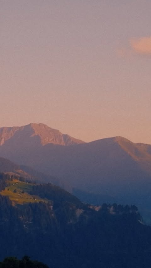 Instagram post by @phonefrmes for Musicbed. Caption reads: Found this snap from a recent summer trip to the....