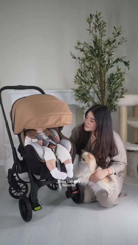 Instagram post by @jameline.h for Temu. Caption reads: This stroller understood the assignment 🤯

Car....