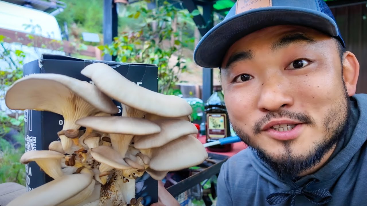 YouTube post by @OutdoorChefLife for North Spore. Caption reads: WE'RE GROWING THOUSANDS $ Worth of Mushrooms At....