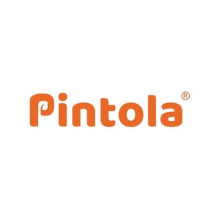 Pintola logo