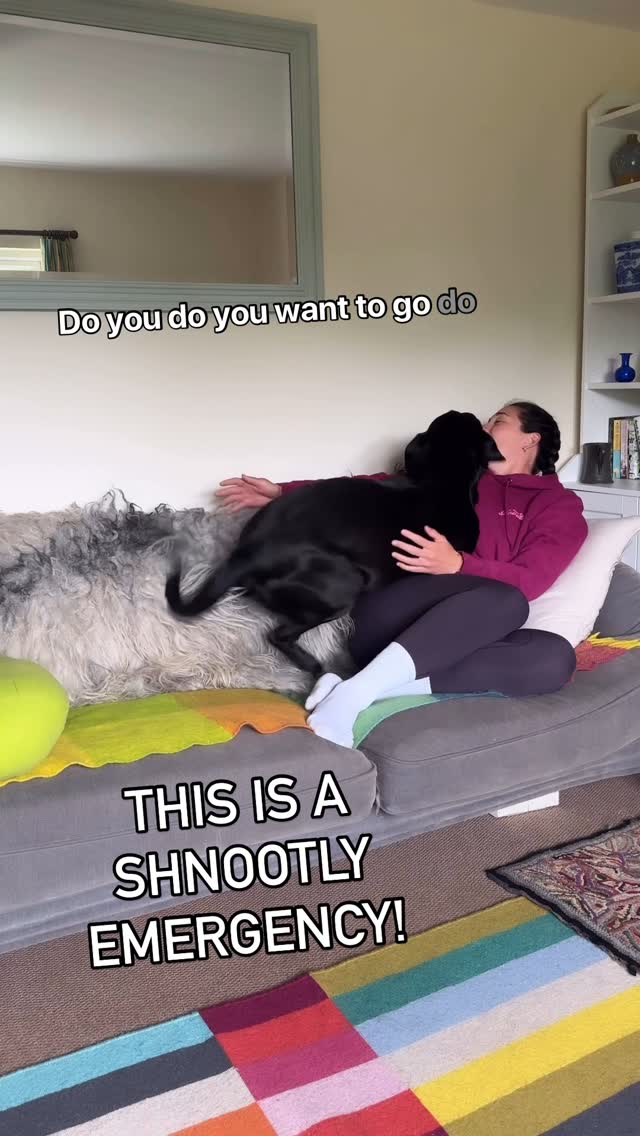 Instagram post by @shnootle.hound for Ruff and Tumble. Caption reads: [...] 

Once again bit shout out to....