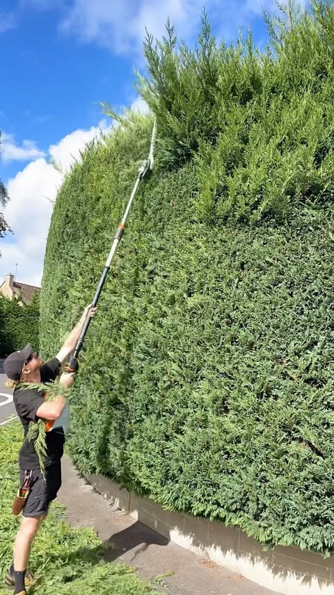 Instagram post by @gttrees_ for STIHL. Caption reads: Fully charged work with the Stihl toys. Something....
