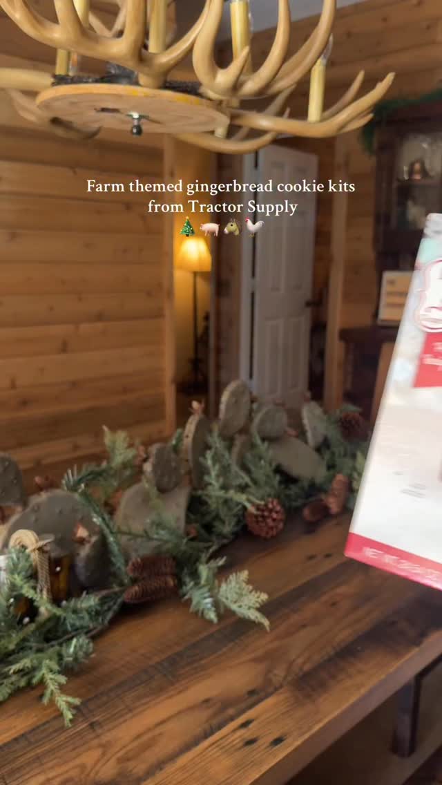 Instagram post by @cheyswindle for Tractor Supply. Caption reads: This is your sign to go get the farm themed....