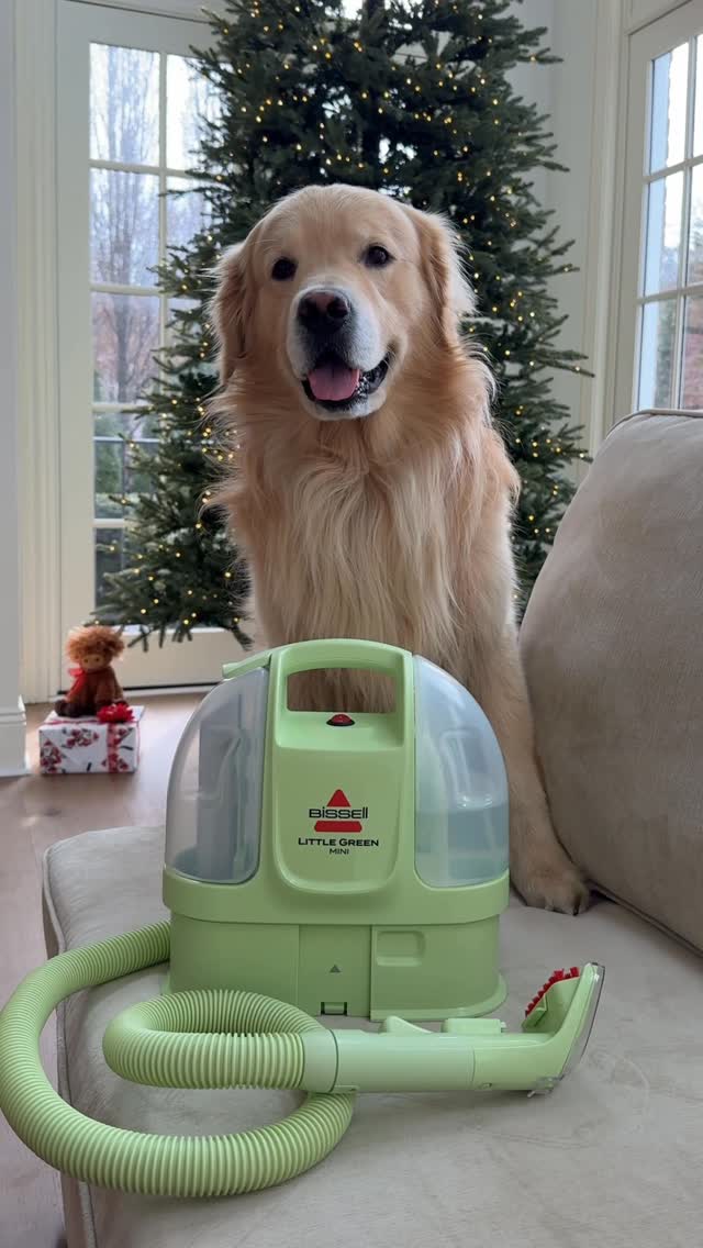 Instagram post by @drakethepupstar for BISSELL. Caption reads: #ad Drake makes the mess and the @bissellclean....
