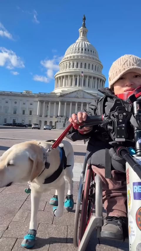 Instagram post by @seemiaroll for Ruffwear. Caption reads: @ruffwear is my go to place to outfit my partner....