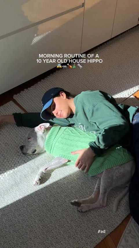 Instagram post by @sleepingbeautywrigs for Solid Gold Pet. Caption reads: [...] Extra yummy breaky today with my new....