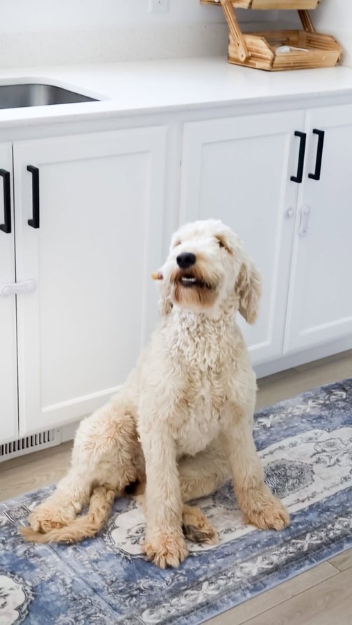 Instagram post by @karinabbingham for slashop. Caption reads: #ad Loving my new kitchen rug from....