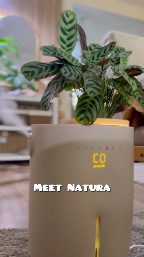 Instagram post by @plants_itsavibe for Homedics. Caption reads: [...] to your decor. The Natura from @homedics is....