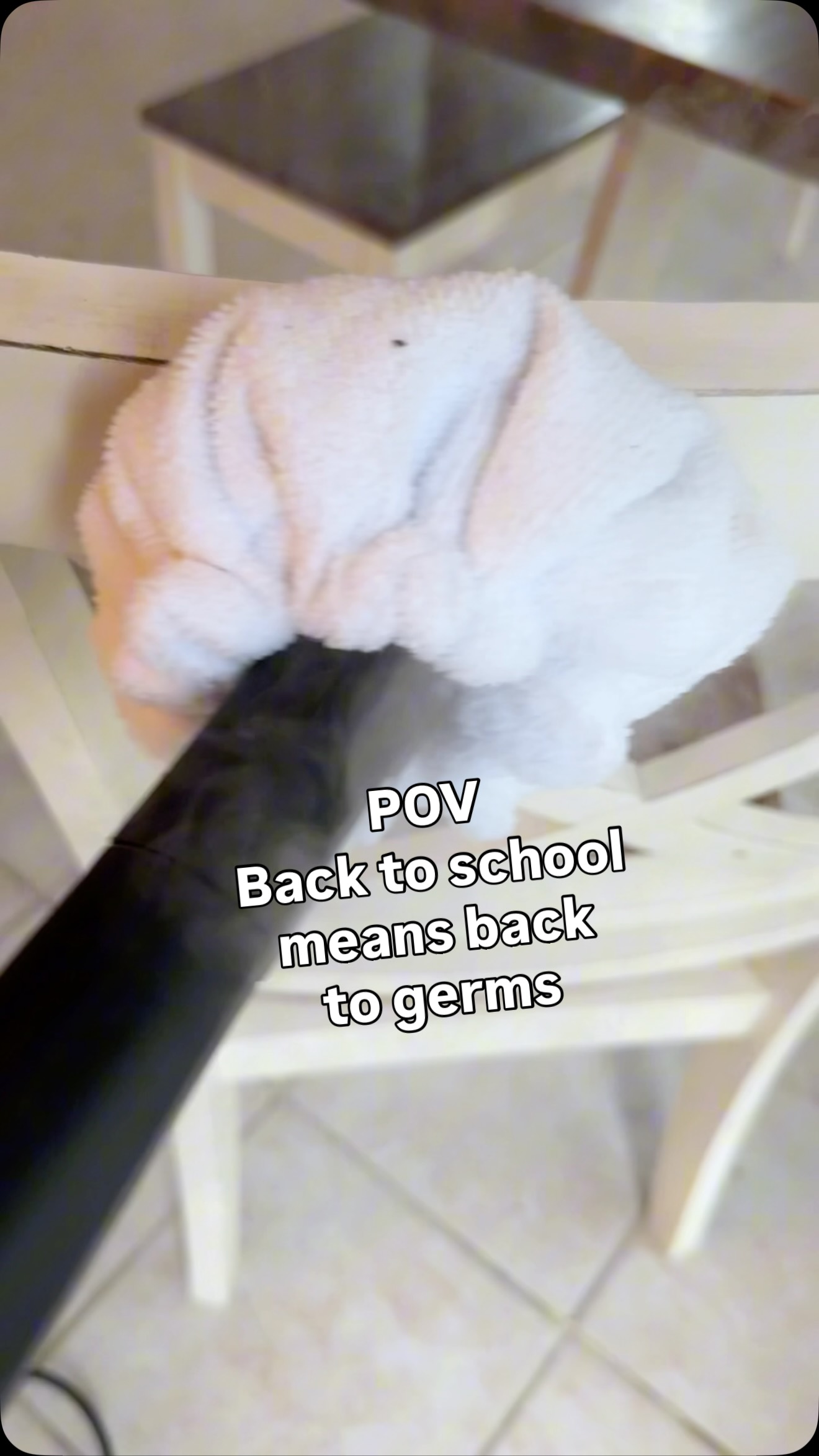 Instagram post by @livecomposed for Dupray. Caption reads: STEAM to reduce back to school germs! #cleaning....