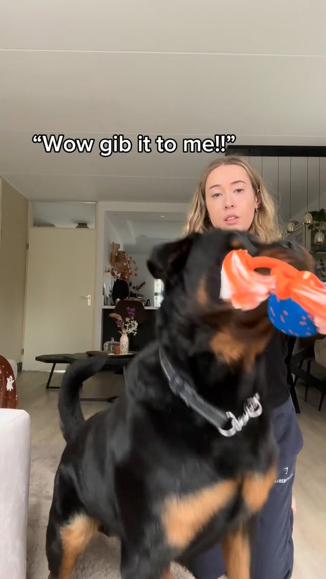 Instagram post by @dycederottweiler for Cheerble. Caption reads: The ball is from @cheerble_global and if you add....