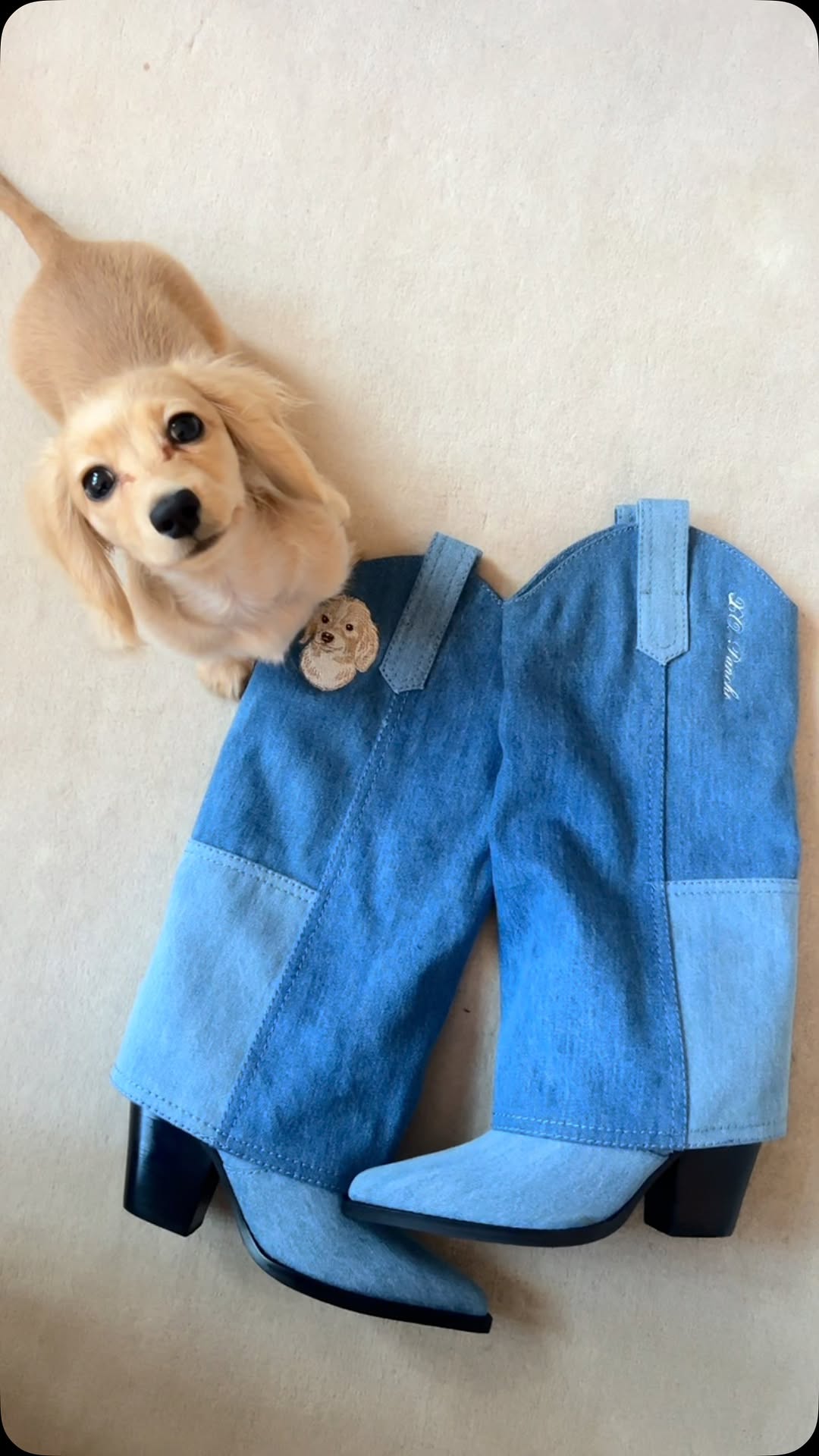 Instagram post by @panchothediva for Marc Fisher. Caption reads: these boots were made for PANCHO

#diva....