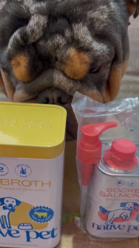 Instagram post by @exotic_bulldog_buddy for Native Pet. Caption reads: [...] bowl. New level of luxury. Powered by....