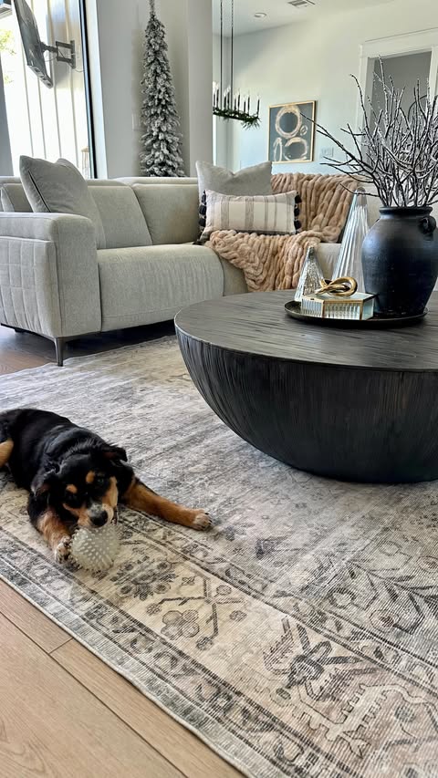Instagram post by @wifeonadime for Boutique Rugs. Caption reads: [...] SUPER soft and just what we needed.....