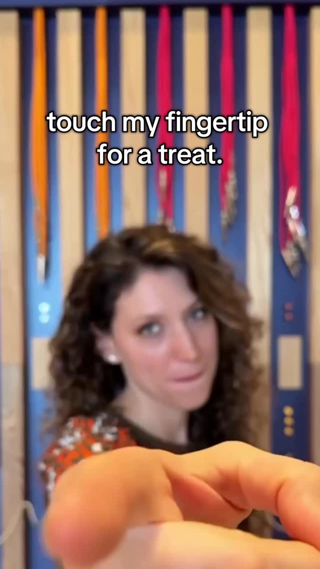 Instagram post by @jburdsbeats for Reverb. Caption reads: ✨🫵✨
.
.
.
#foundonreverb #guitarist #musicmemes....