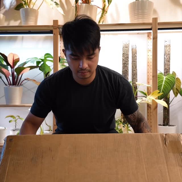 Instagram post by @jczzle for Vego Garden. Caption reads: Assemble my new plant shelf with me 🪴 😀
This one....