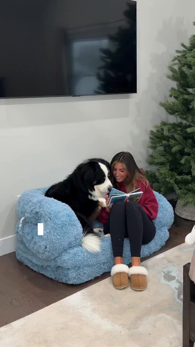 Instagram post by @janieippolito for Lesure Pet. Caption reads: Rocky’s new favorite spot! 🤩 Comment “DOG BED”....