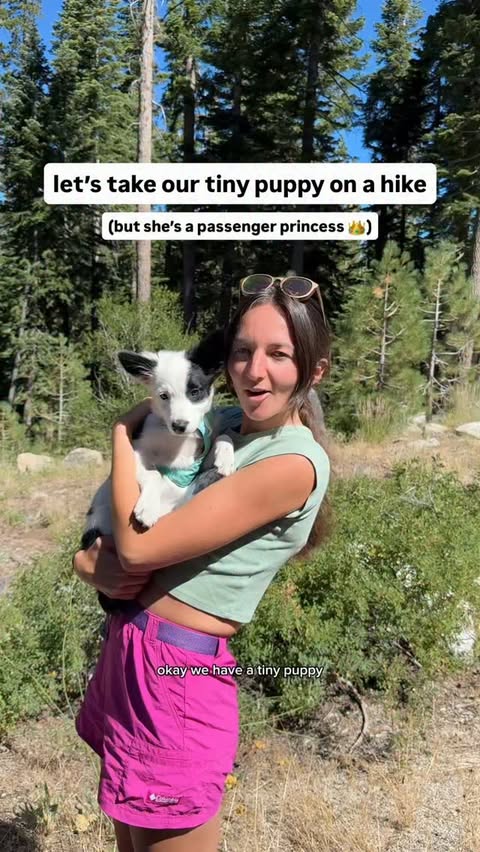 Instagram post by @the_adventureaddicts for Honey Stinger. Caption reads: [...] 👑✨ (ad) always carrying our @honeystinger....