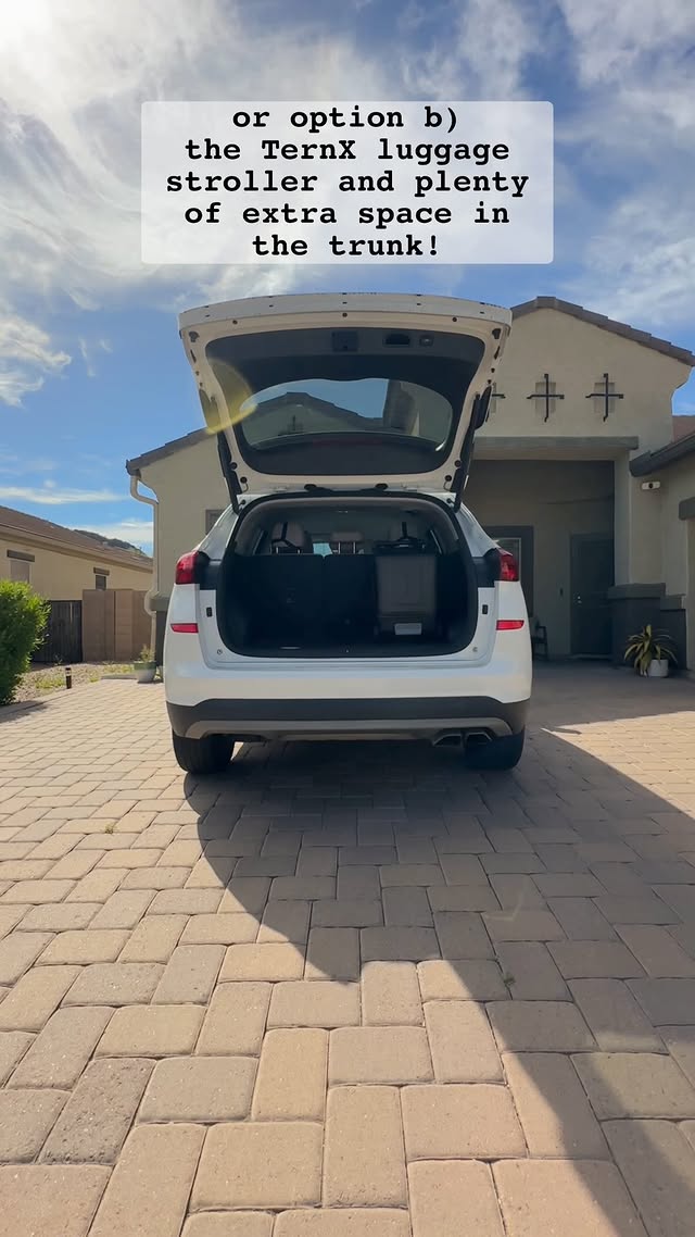 Instagram post by @blaaaaaaake for TernX. Caption reads: [...] traveling with a baby, courtesy of @myternx....