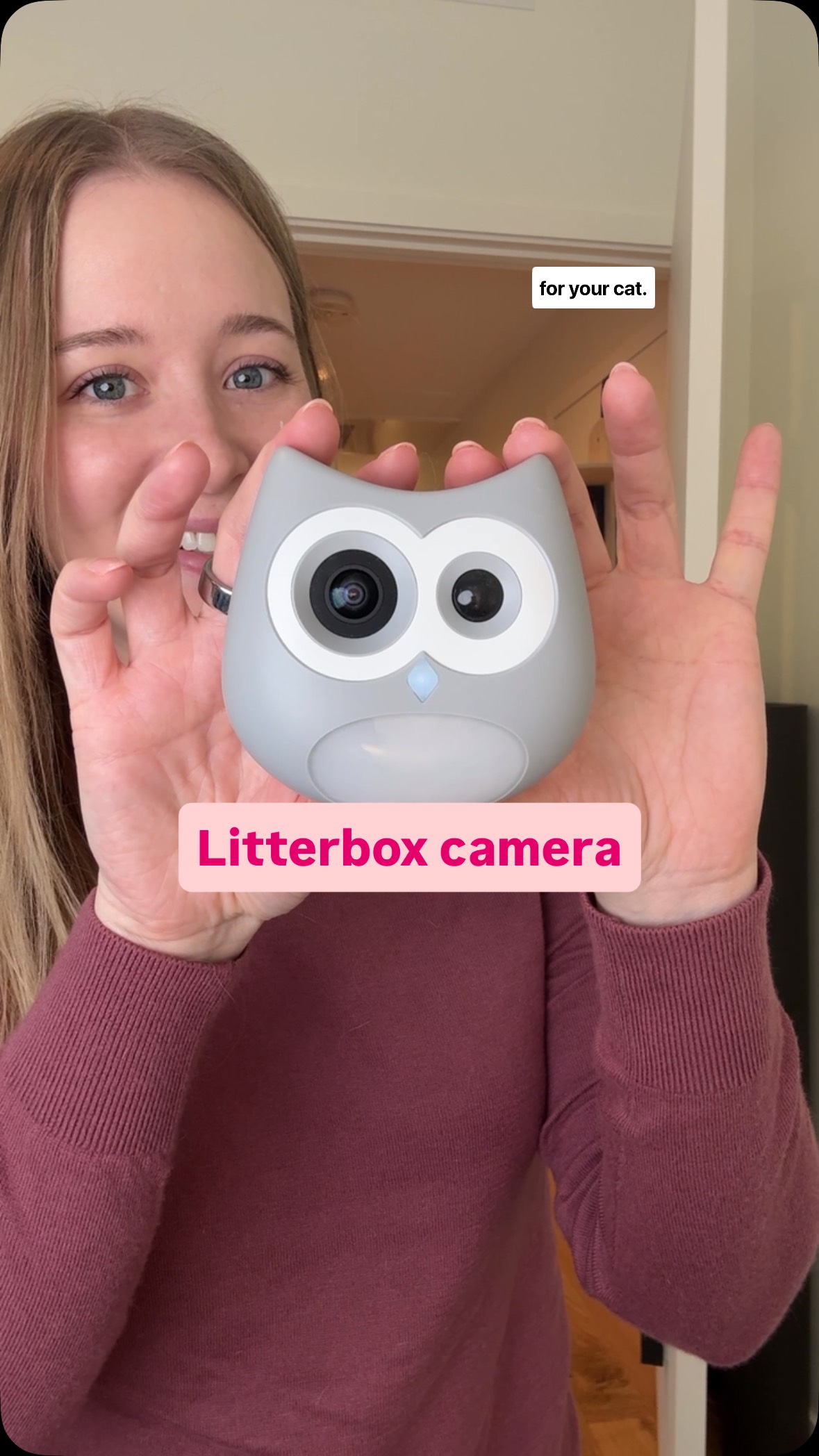 Instagram post by @agnesthetuxedo for Siipet. Caption reads: [...] a link sent straight to your DMs....