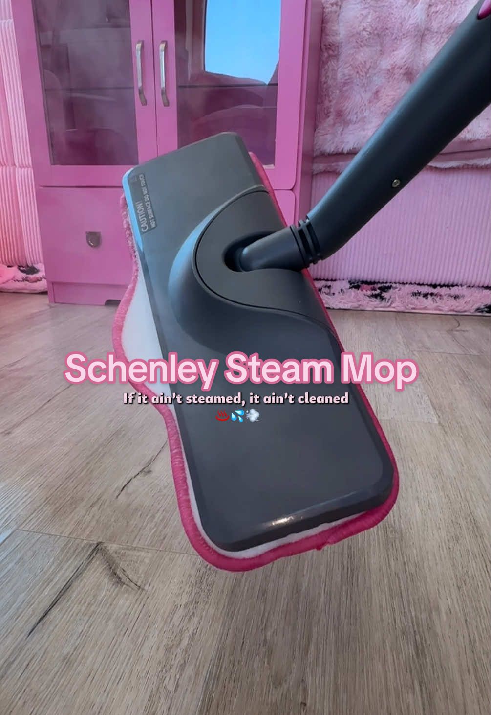 TikTok post by @ceaserbeauty for Schenley. Caption reads: [...] lifting dirt and debris off the floor....
