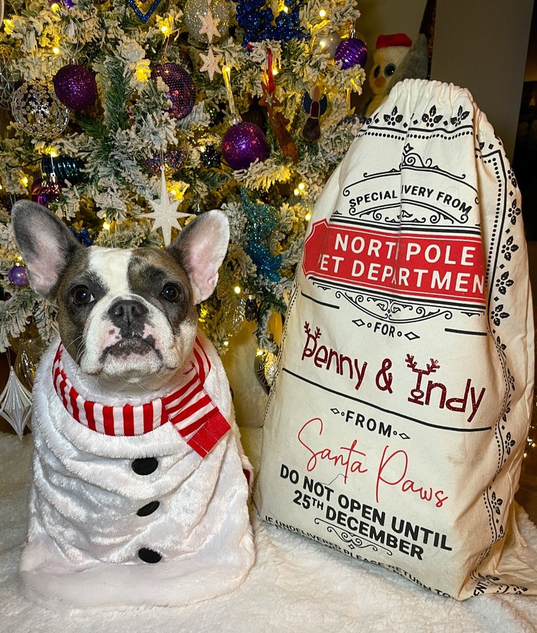 Instagram post by @prettypennyandindy for Fur the Love of Toys. Caption reads: 📣 Christmas is coming to the FLOT HQ at 7:30pm....