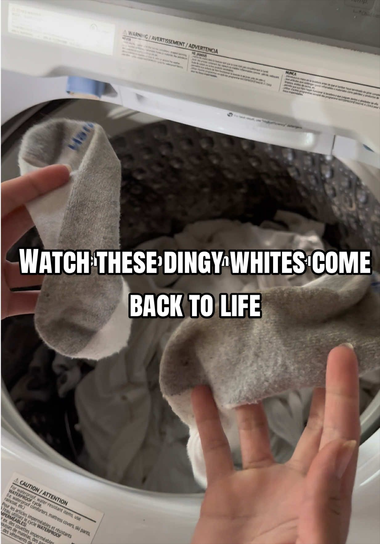 TikTok post by @alexlushine for ACTIVE. Caption reads: [...] a special place in my laundry room....