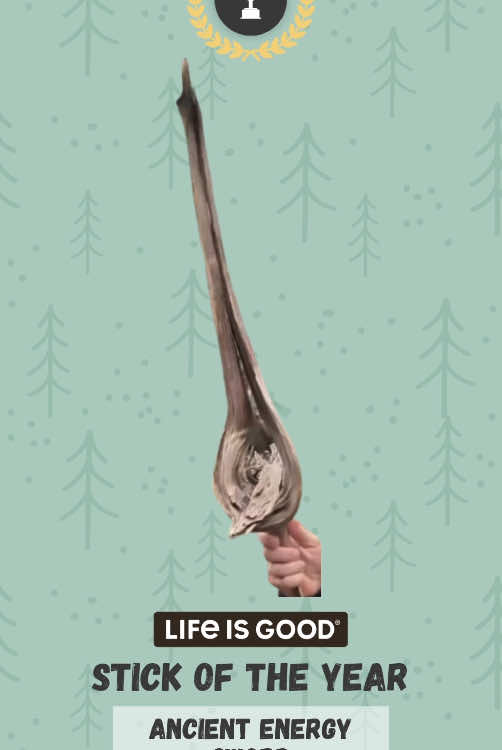 TikTok post by @officialstickreviews for Life Is Good. Caption reads: [...] Official Sponsor of the tournament....