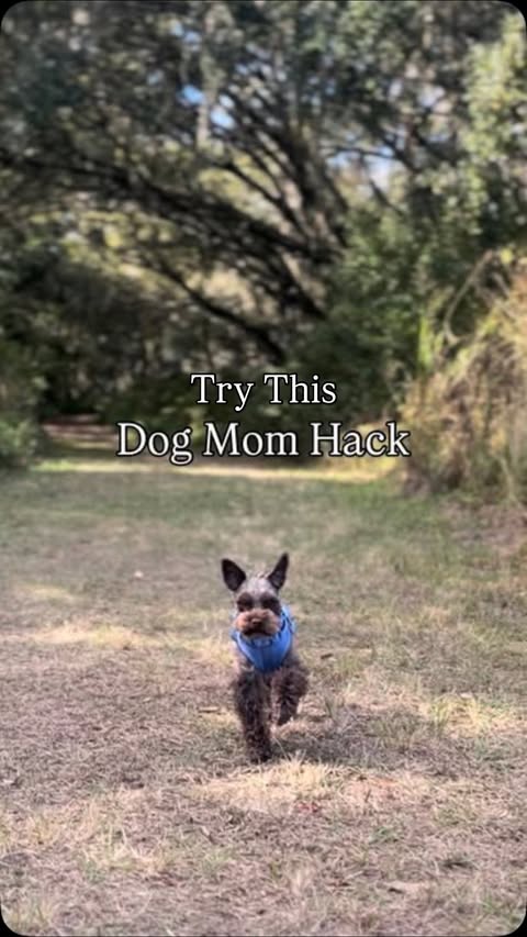 Instagram post by @maisieschnauz for Earth Rated. Caption reads: [...] may bring. Have you ever tried this?....
