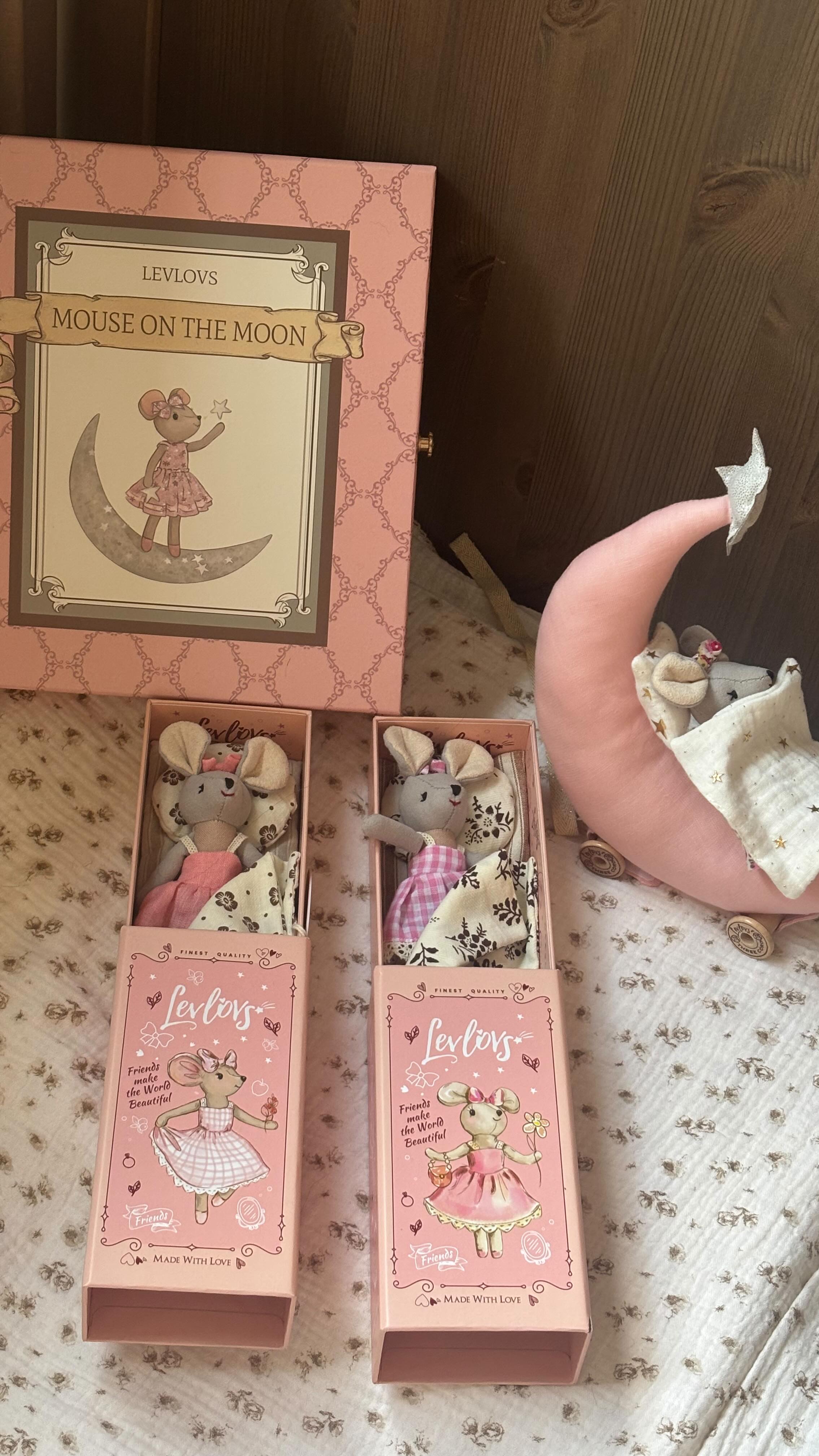 Instagram post by @mygirlmyboymybabys_preloved for Levlovs. Caption reads: Levlovs ❤️ we love you! These sweet  little mice....