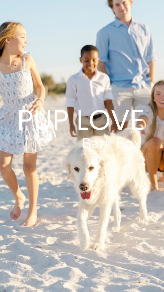 Instagram post by @jennyreimold for BarkBox. Caption reads: Life can get hectic, but your dog’s joy doesn’t....