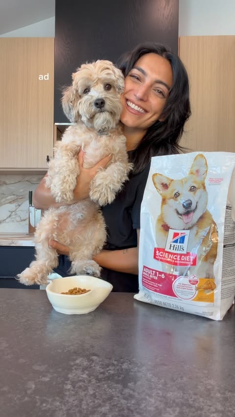 Instagram post by @zoyaroya for Hill's Pet Nutrition. Caption reads: #ad #HillsPartner August marks “Clear the....
