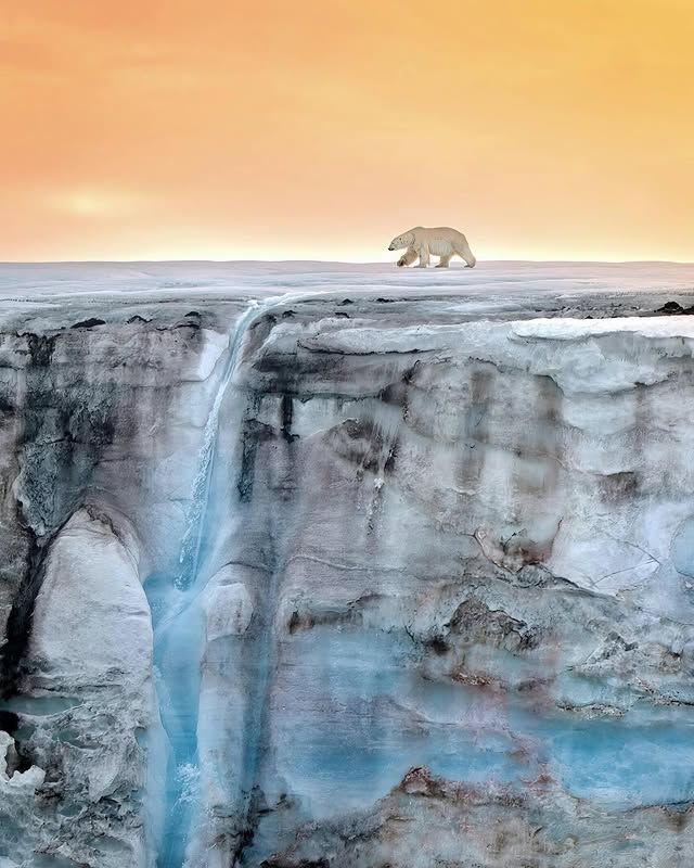 Instagram post by @aeroture_aus for Discover Earth. Caption reads: Patience rewarded 🥳 @aeroture_aus stunning shot....