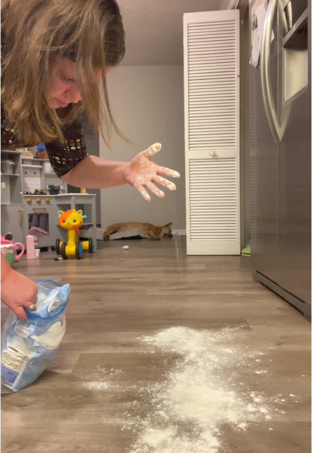 TikTok post by @hello.from.tina for Homeika. Caption reads: [...] #vacuum #vacuumcleaner #rechargeable....