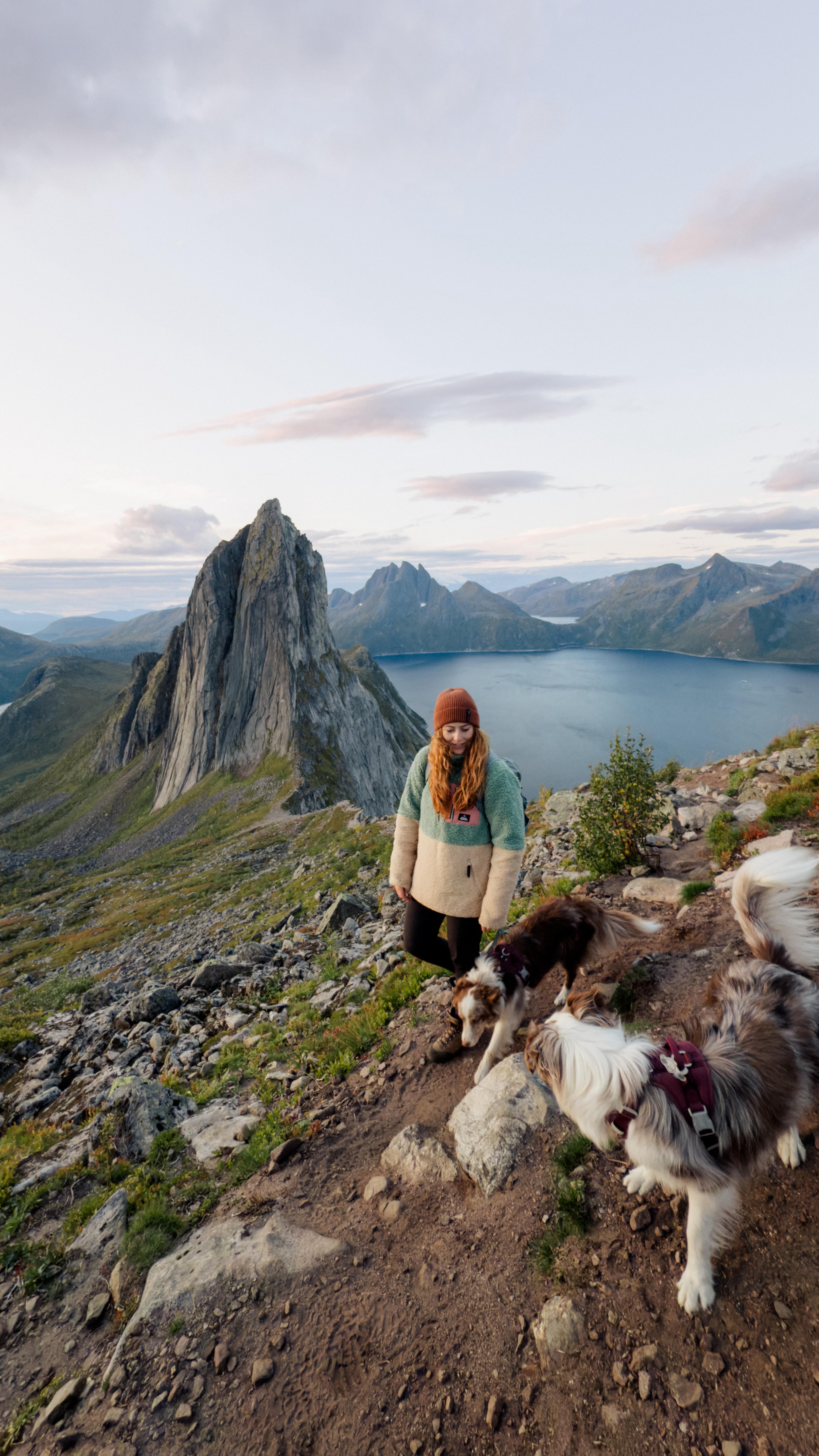 Instagram post by @twomerlecollies for Thule. Caption reads: [...] a few hikes 😜

📍Segla, Senja 🇳🇴

AD|....