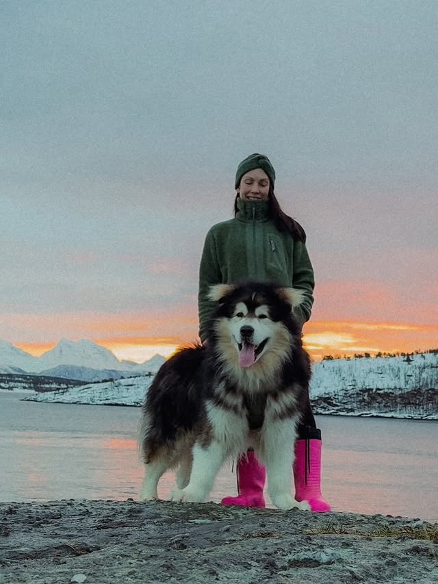 Instagram post by @antonthemalamute for Astrid Wild. Caption reads: [...] ✨ I’m so lucky to team up with....