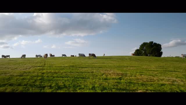 Instagram post by @hugoboue.1 for SmallHD. Caption reads: 🇬🇧Extremely proud to reveal the BTS of the....