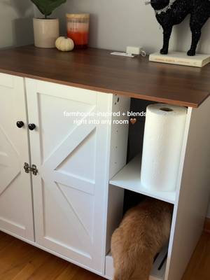 TikTok post by @mylilscottishfold for VOWNER. Caption reads: [...] even ALL the litter robots!!) thank u....
