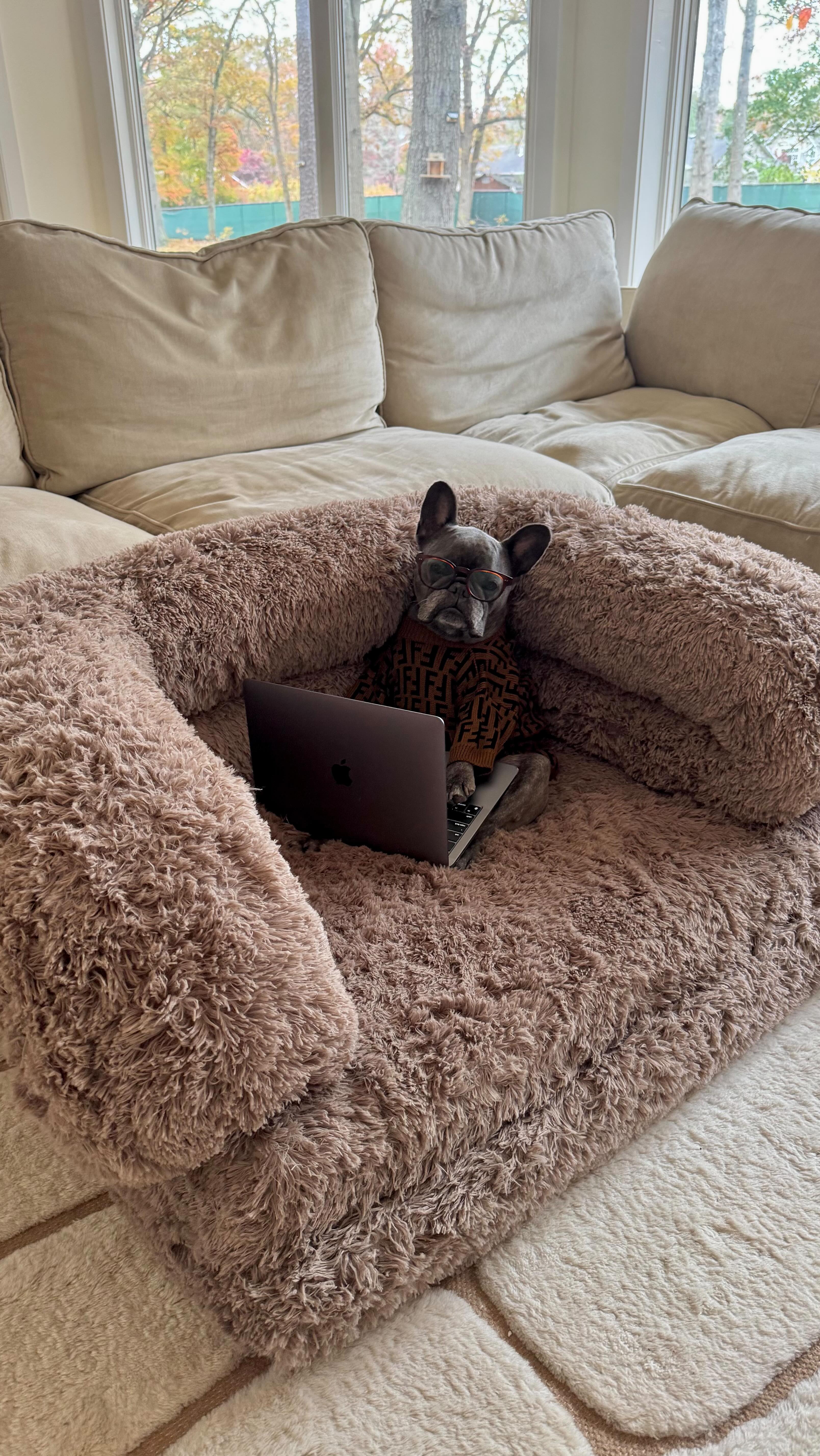 Instagram post by @winstonthefrenchiee_ for Lesure Pet. Caption reads: It’s not just a bed…it’s Winston’s office, nap....