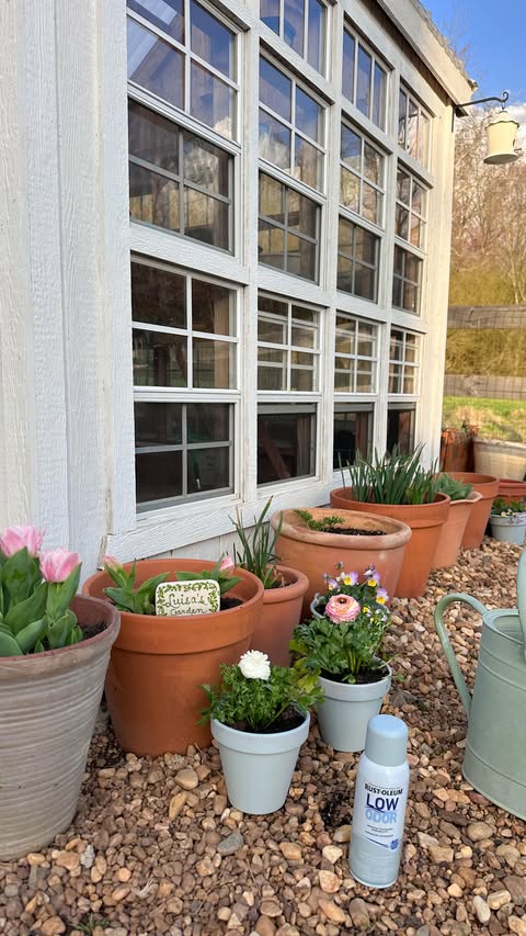 Instagram post by @peachestopearls for Rust-Oleum. Caption reads: [...] the greenhouse got a quick update with....