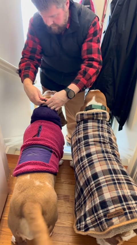 Instagram post by @chuck_thebasset for Open Farm Pet. Caption reads: [...] profile to save $25 off your first....