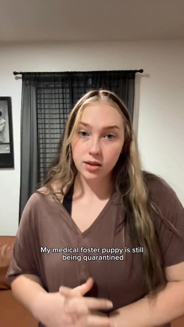 Instagram post by @mythologicaldogs for Earth Rated. Caption reads: This video is from when we first got Bruce and....