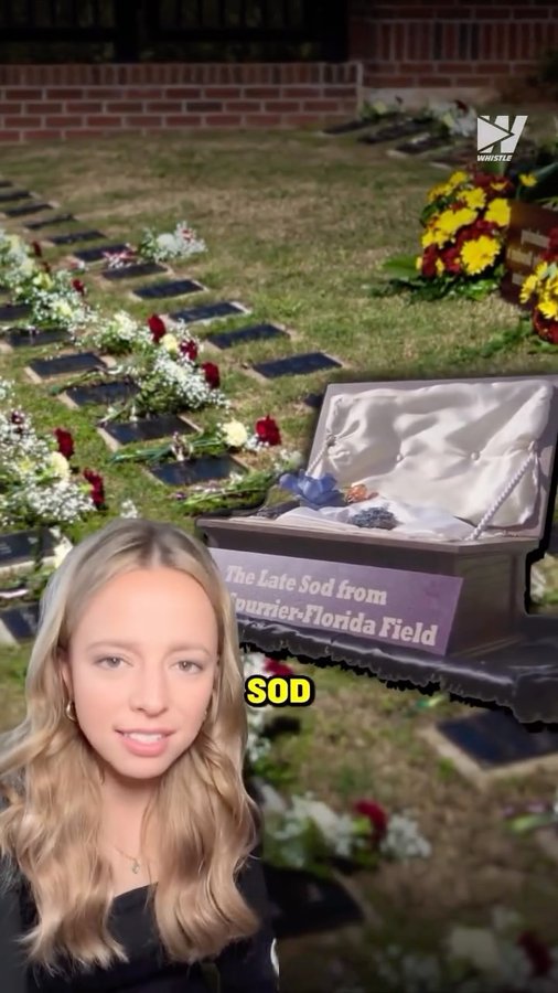 Instagram post by @elliotgeorgiadis for Whistle. Caption reads: FSU doesn’t just win games they take the field....